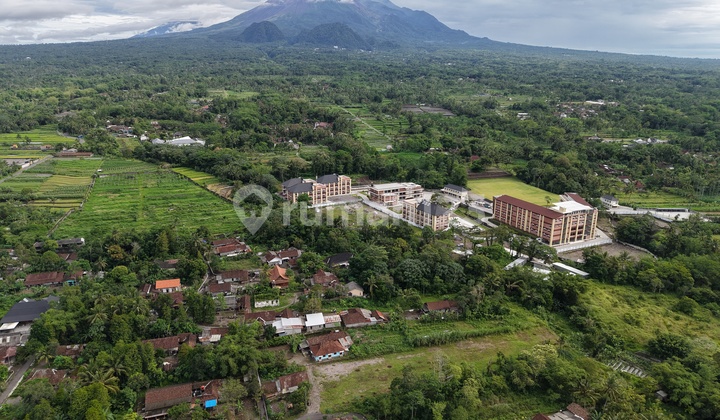 Kavling SHM Strategis untuk Usaha Penginapan Jogja Utara