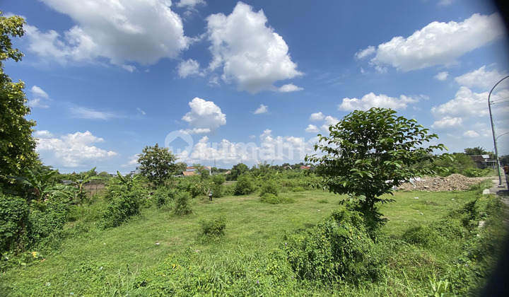 Tanah Bantul SHM Ready Lokasi Premium Banguntapan