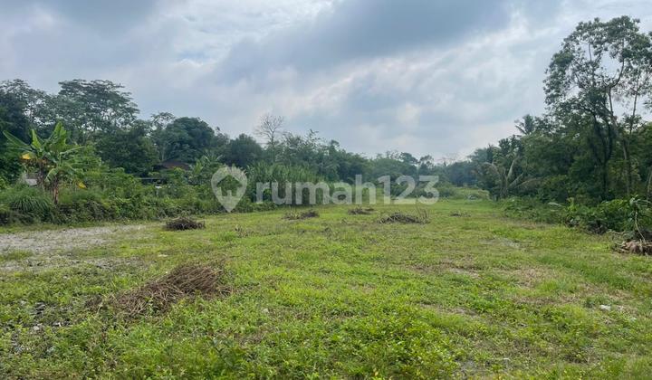Tanah Sleman SHM Premium Cocok untuk Villa Nuansa Puncak Bogor