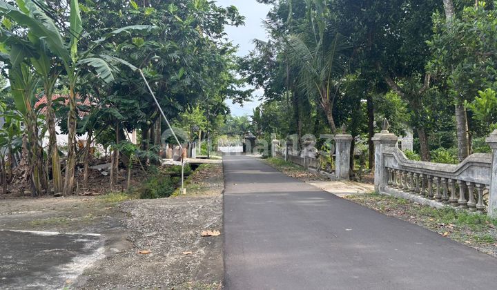 Tanah SHM Sleman Selomartani Udara Sejuk Prospek Hunian Private Tanah SHM Sleman Selomartani Udara Sejuk Prospek Hunian Private