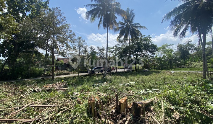 Tanah Jogja Dengan View Sawah yang Indah di Palagan