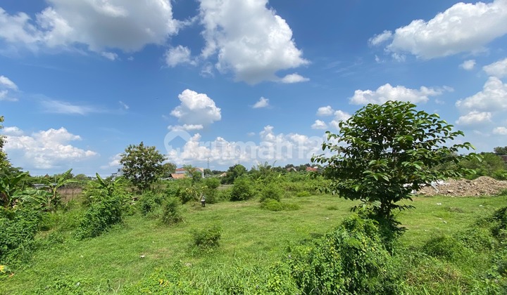 SHM Ready! Tanah Jogja Untuk Hunian Strategis di Banguntapan