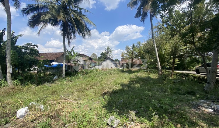 Tanah Area Palagan Mulai 2 Jutaan/m Nego Tanah Area Palagan Mulai 2 Jutaan/m Nego