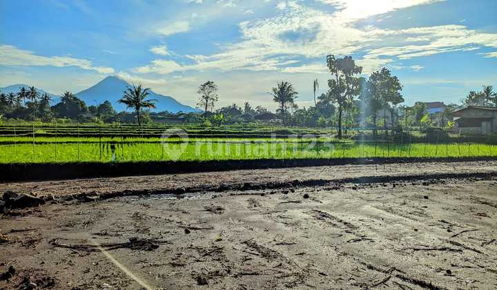 Palagan View Merapi Land Starting from 3 Million/m Negotiable
