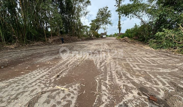Tanah SHM Investasi di Selomartani 5 Menit Exit Tol Kalasan Tanah SHM Investasi di Selomartani 5 Menit Exit Tol Kalasan