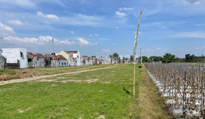 Tanah SHM Godean dengan Nuansa Alam Hijau 5 Menit ke Ringroad Tanah SHM Godean dengan Nuansa Alam Hijau 5 Menit ke Ringroad