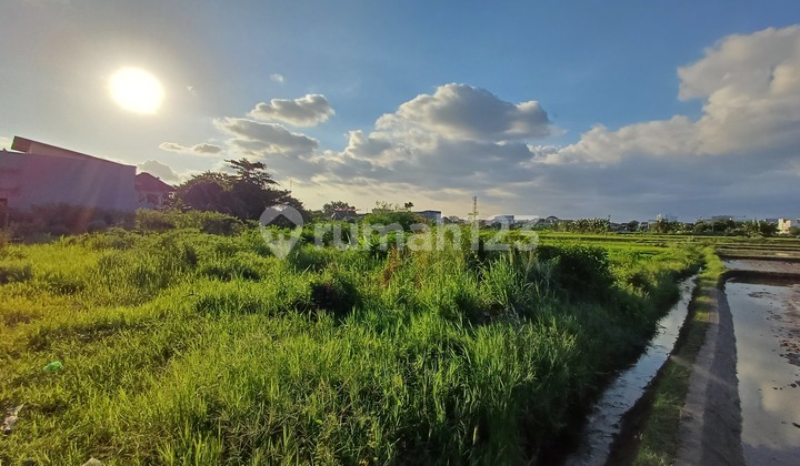 Dijual Tanah Kavling Jogja Dekat Kampus UIN & Ambarukmo Plaza