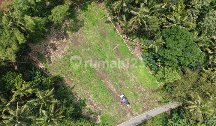 Sisa 1 Unit, Tanah SHM Murah Area Pemda Sleman