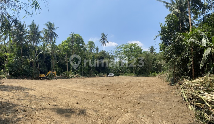 Yogyakarta Land with SHM Ready! Strategic Plot in Sleman City Yogyakarta Land with SHM Ready! Strategic Plot in Sleman City