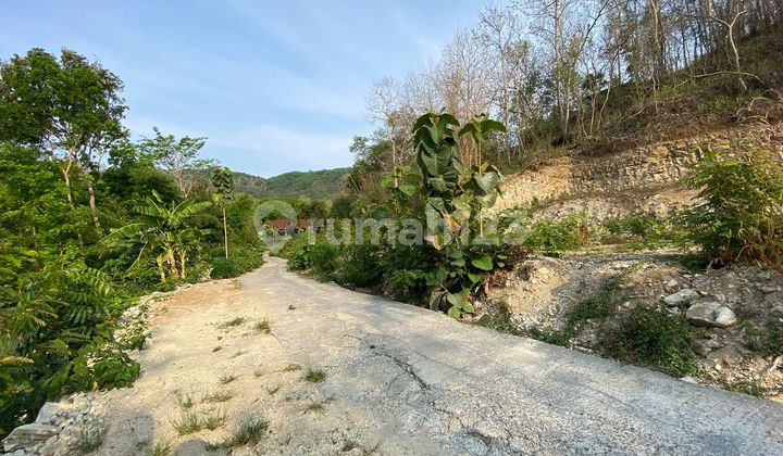 Dijual Tanah SHM Dekat Hutan Pinus & Wisata Alam Jogja Dijual Tanah SHM Dekat Hutan Pinus & Wisata Alam Jogja