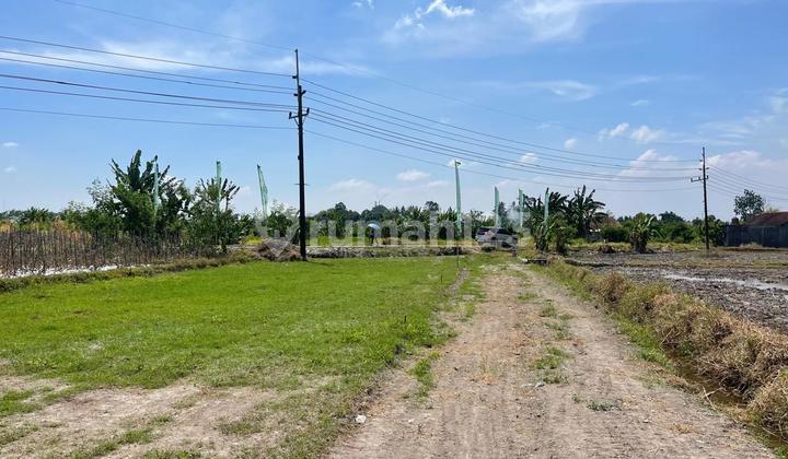 Tanah Godean SHM Premium View Sawah Hijau Dekat Ringroad