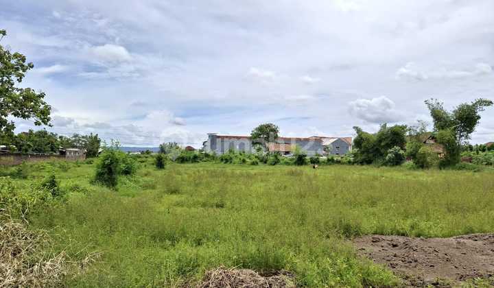 Tanah Premium Banguntapan Mangku Jalan 5 Menit Uad Kampus 4