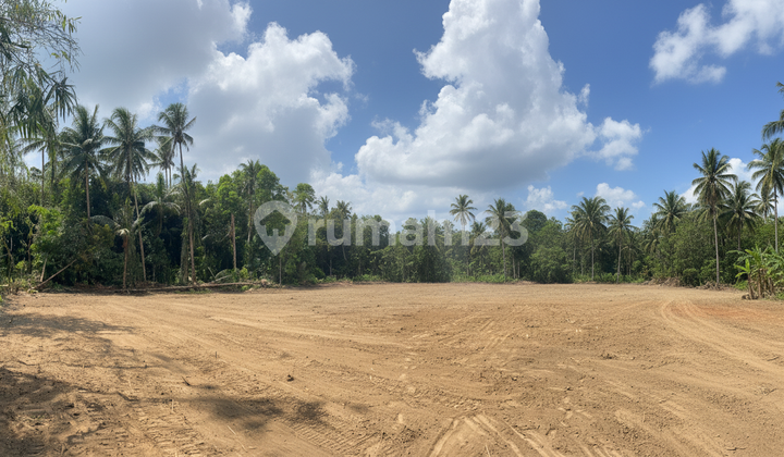  Dijual Tanah Murah Dekat Samsat Sleman