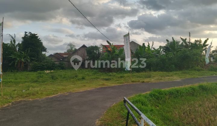 Tanah SHM Purwomartani Nuansa Alam dan Udara Sejuk Tanah SHM Purwomartani Nuansa Alam dan Udara Sejuk