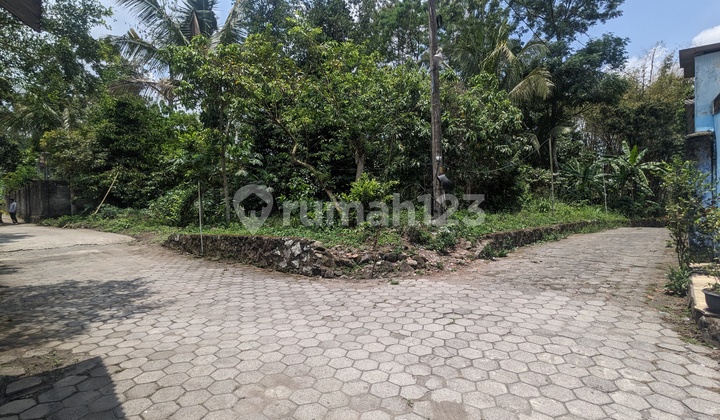 Tanah Ideal untuk Hunian Bernuansa Tropis Sejuk Tanah Ideal untuk Hunian Bernuansa Tropis Sejuk