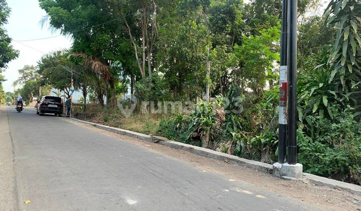 Tanah Sleman Dengan Udara Segar Buat Rumah Type 45