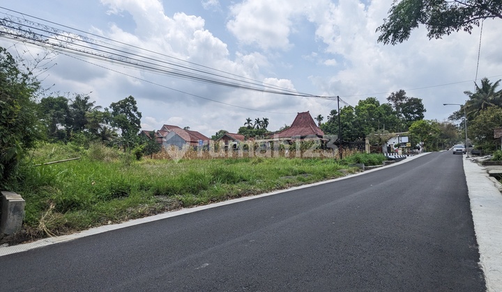 Ready-to-Use AJB Exclusive Plot in a Shady and Cool Place