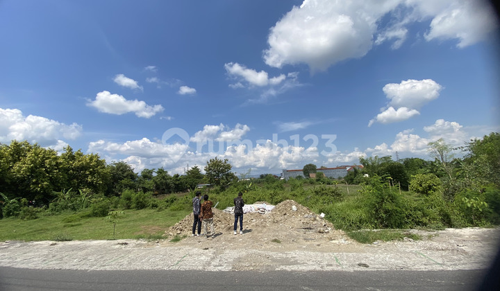 Tanah Banguntapan Premium Ideal untuk Hunian Terbuka Tanah Banguntapan Premium Ideal untuk Hunian Terbuka