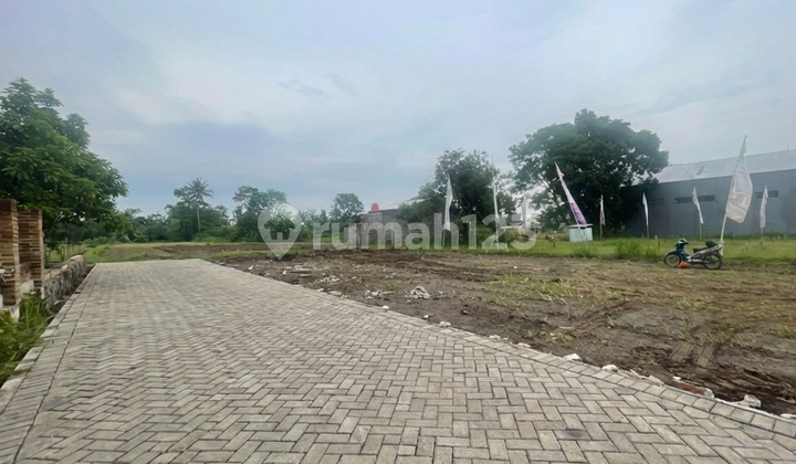 Tanah SHM Sleman Istimewa Mangku Jalan View Gunung dan Sawah Tanah SHM Sleman Istimewa Mangku Jalan View Gunung dan Sawah