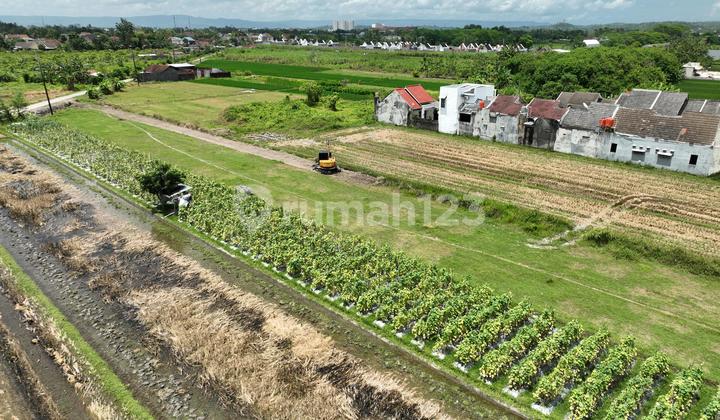 Tanah Godean Modern Dengan Potensi Pembangunan Type 36