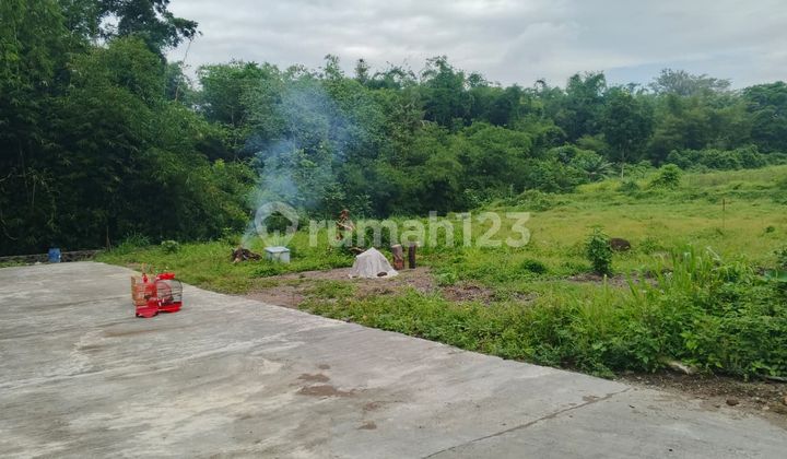 Lahan Siap AJB Premium dengan Vegetasi Hijau Alami di Utara Jogja Lahan Siap AJB Premium dengan Vegetasi Hijau Alami di Utara Jogja