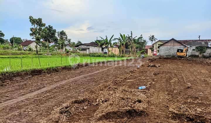 Tanah SHM Area Palagan dengan Pemandangan Hijau Udara Sejuk