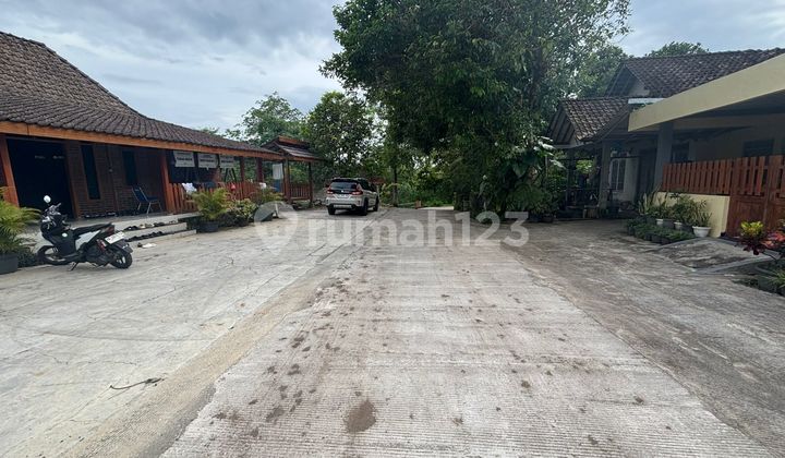 Tanah SHM Kaliurang Nuansa Alam Sejuk dan Aliran Air Jernih Tanah SHM Kaliurang Nuansa Alam Sejuk dan Aliran Air Jernih