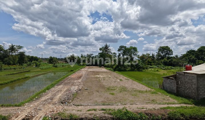 Tanah SHM Mangku Jalan Utama Hanya 5 Menit ke Jl. Magelang