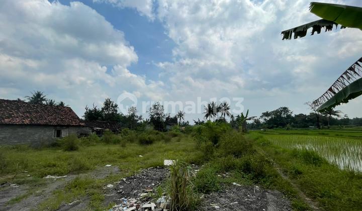 Tanah SHM Sejuk Nyaman untuk Hunian Slow Living Sleman Tanah SHM Sejuk Nyaman untuk Hunian Slow Living Sleman