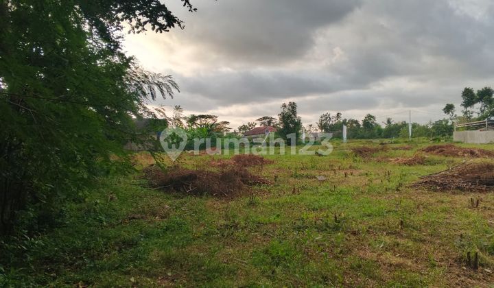 Tanah SHM Ideal untuk Hunian Premium Bernuansa Sejuk Purwomartani Tanah SHM Ideal untuk Hunian Premium Bernuansa Sejuk Purwomartani