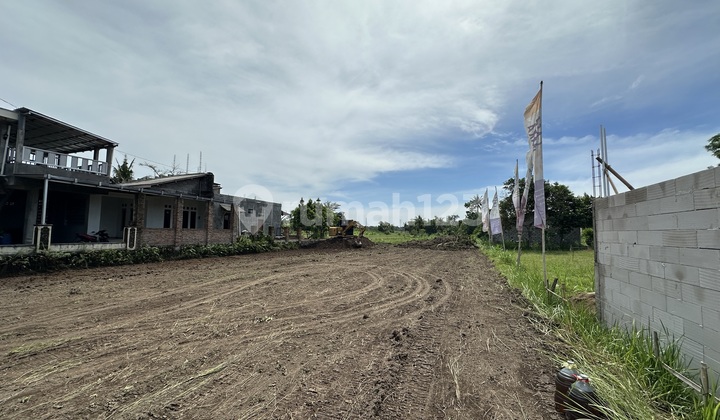 Freehold Land Options with High Value Potential in Jogja City