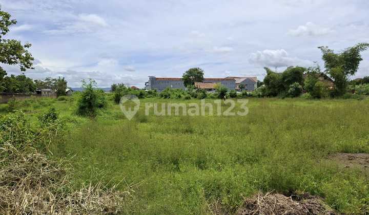Tanah Prospek Mangku Jalan Utama di Banguntapan