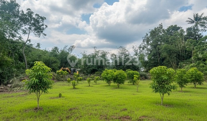 Affordable Land in Sleman for 1 Million – Near Market & UII Center Affordable Land in Sleman for 1 Million – Near Market & UII Center