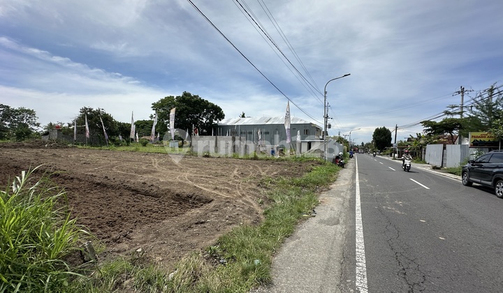 Tanah SHM Sleman Istimewa Mangku Jalan View Gunung dan Sawah