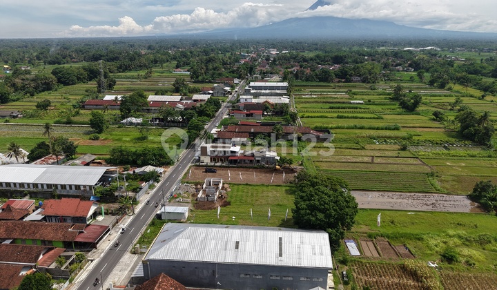 Kavling SHM Berkualitas Hunian Panorama Merapi dan Sawah Sleman Kavling SHM Berkualitas Hunian Panorama Merapi dan Sawah Sleman