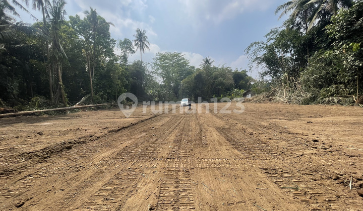 Tanah Sleman dekat GOR Tridadi dan Jl. Magelang