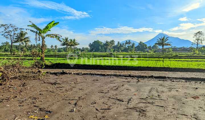 Tanah SHM Adem Banget di Jogja Kaya di Lombok