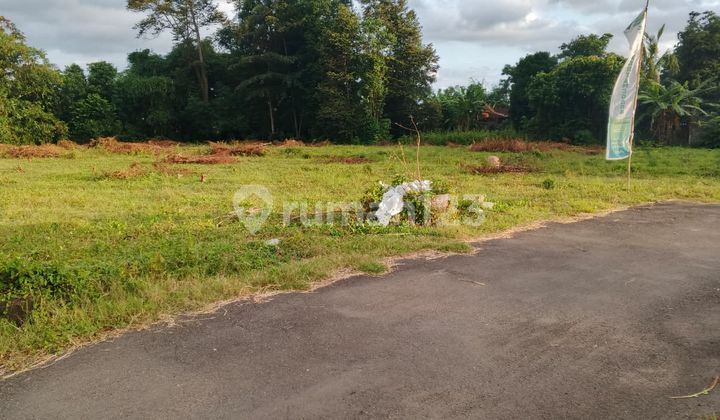 Kavling Purwomartani SHM Lingkungan Hijau dengan Udara Sejuk