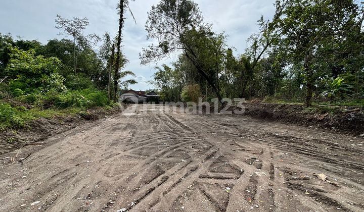 Tanah SHM Sleman Timur Selomartani 1 KM ke Spbu Tanah SHM Sleman Timur Selomartani 1 KM ke Spbu