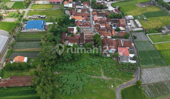 Tanah SHM Purwomartani 100 Meter ke Jalan Utama Tanah SHM Purwomartani 100 Meter ke Jalan Utama