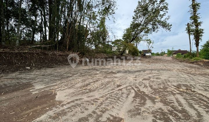 Tanah SHM Asri Cocok untuk Villa Tropis di Sleman Timur Tanah SHM Asri Cocok untuk Villa Tropis di Sleman Timur