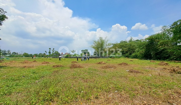 Tanah SHM Jogja Segar Cocok Buat Rumah Santai