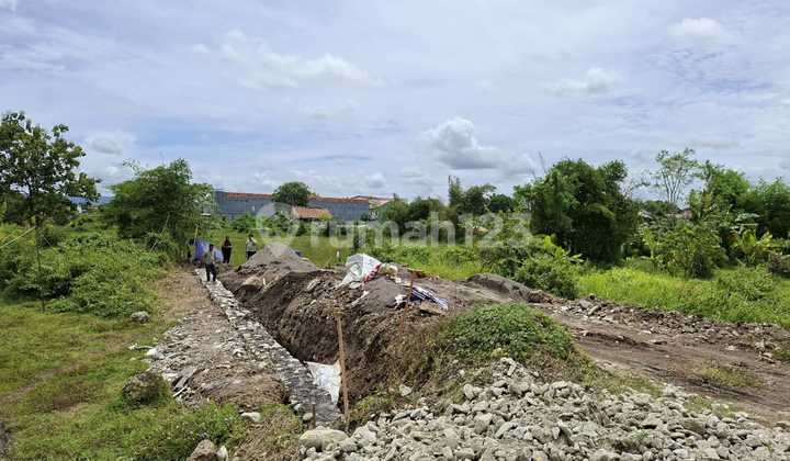 Tanah SHM Banguntapan Tropis Tenang Panorama Sawah Hijau Tanah SHM Banguntapan Tropis Tenang Panorama Sawah Hijau
