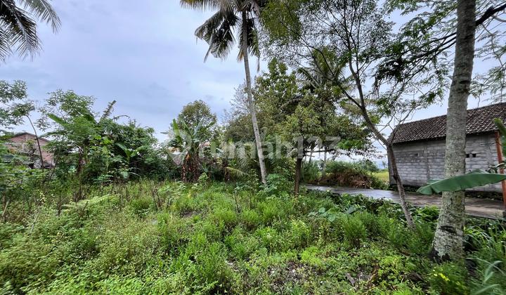 Kavling Premium Sleman – Lokasi Dekat Kampus UGM