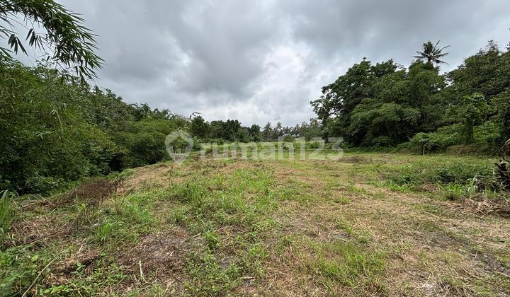 Siap AJB! Tanah Strategis SHM di Utara Jogja dengan Udara Sejuk