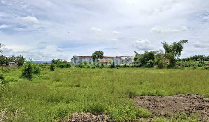 Tanah SHM Banguntapan Mangku Jalan Utama 5 Menit Ringroad Tanah SHM Banguntapan Mangku Jalan Utama 5 Menit Ringroad
