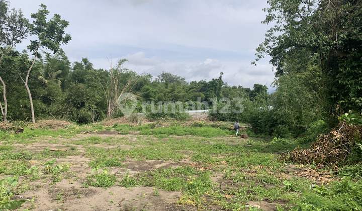 Tanah Sleman Akses Cepat ke Kaliurang Tanah Sleman Akses Cepat ke Kaliurang