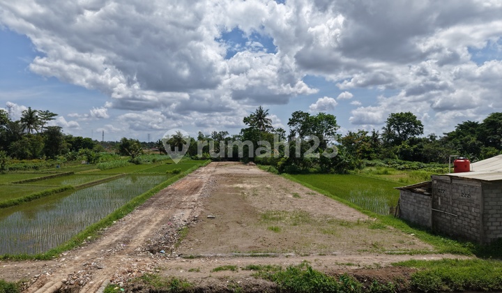 Tanah SHM Mangku Jalan Utama Hanya 5 Menit ke Sch Mall
