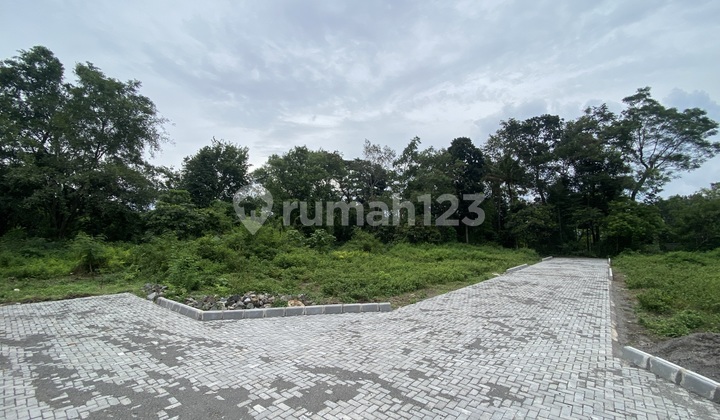 Tanah Sleman Kalasan Dekat Candi Prambanan Harga Mulai 2 Jutaan/m Nego