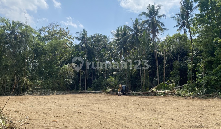  Dijual Tanah Sleman Murah Tridadi SHM Ready